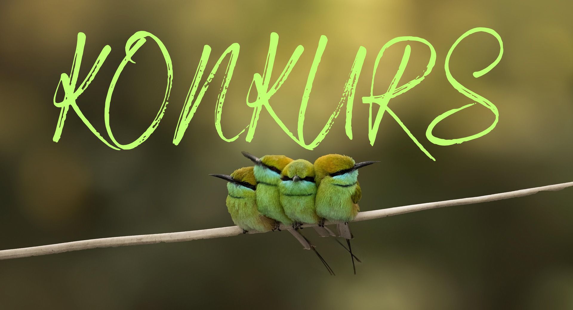 KONKURS