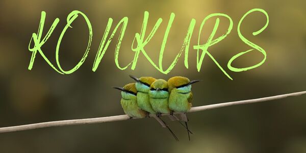 KONKURS