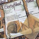 Certyfikat udziału w miodowej lekcji