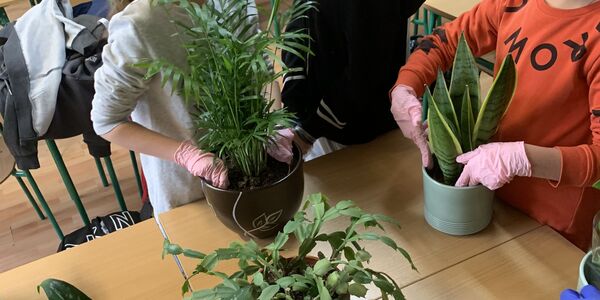 Uczennice zajmują się roślinami