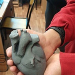 Model serca w rękach ucznia