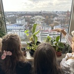Widok z okna urzędu