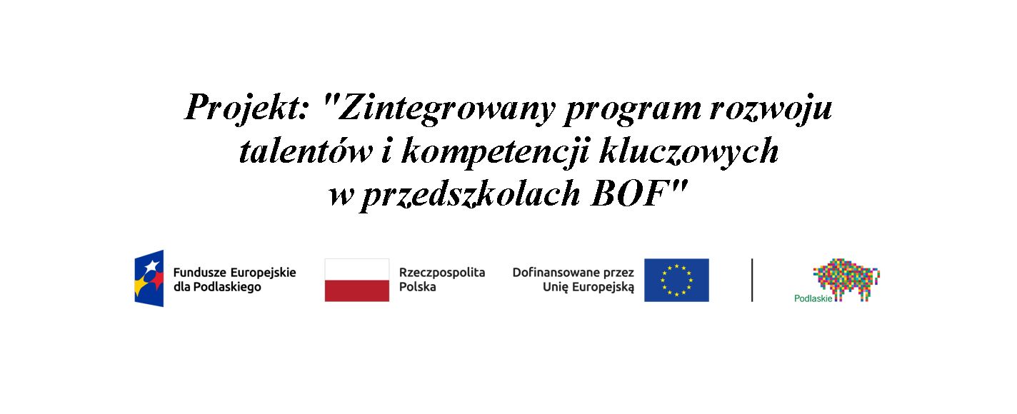Nazwa programu z logami
