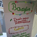 Informacja o bazylii i cebuli