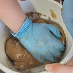 Wyrabianie ciasta