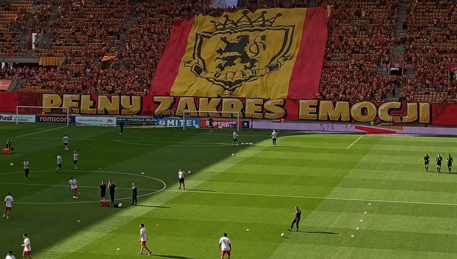Mecz na stadionie