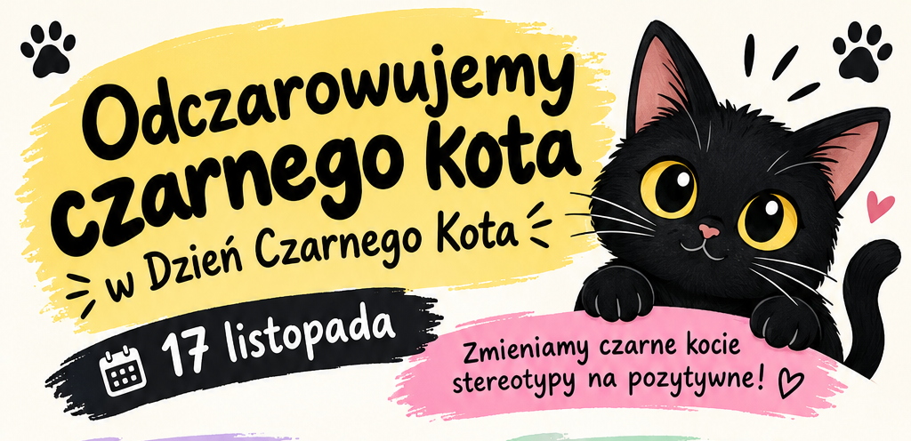 Odczarowujemy czarnego kota