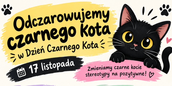 Odczarowujemy czarnego kota